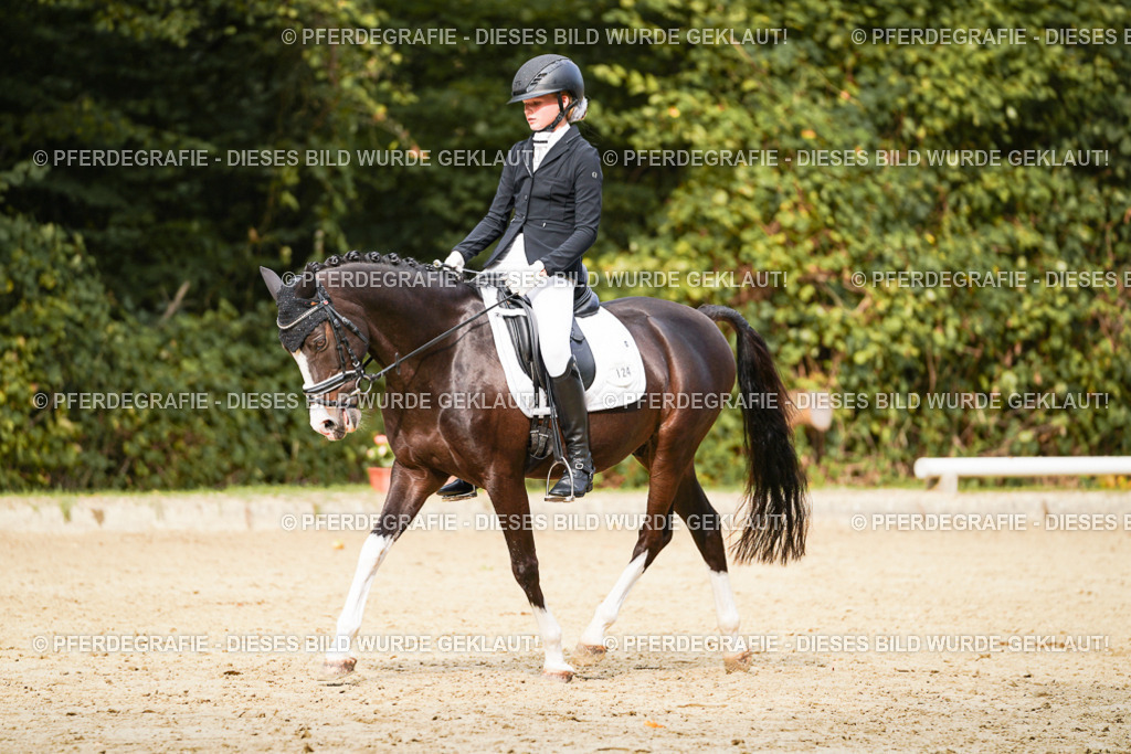 DSC03675 | Pferdegrafie