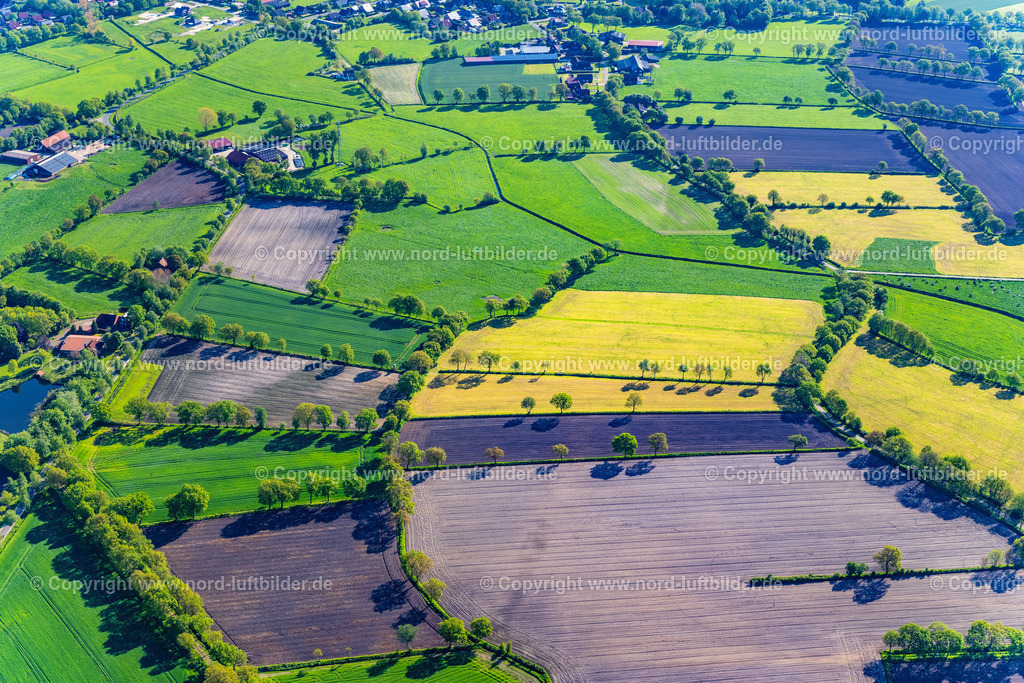 Leer_Bäume_Und_Felder_ELS_6562190523 | AURICH 19.05.2023 Feld- Landschaft gelb blühender Raps- Blüten in Aurich im Bundesland Niedersachsen, Deutschland. // Field landscape yellow flowering rapeseed flowers in Aurich in the state Lower Saxony, Germany. Foto: Martin Elsen