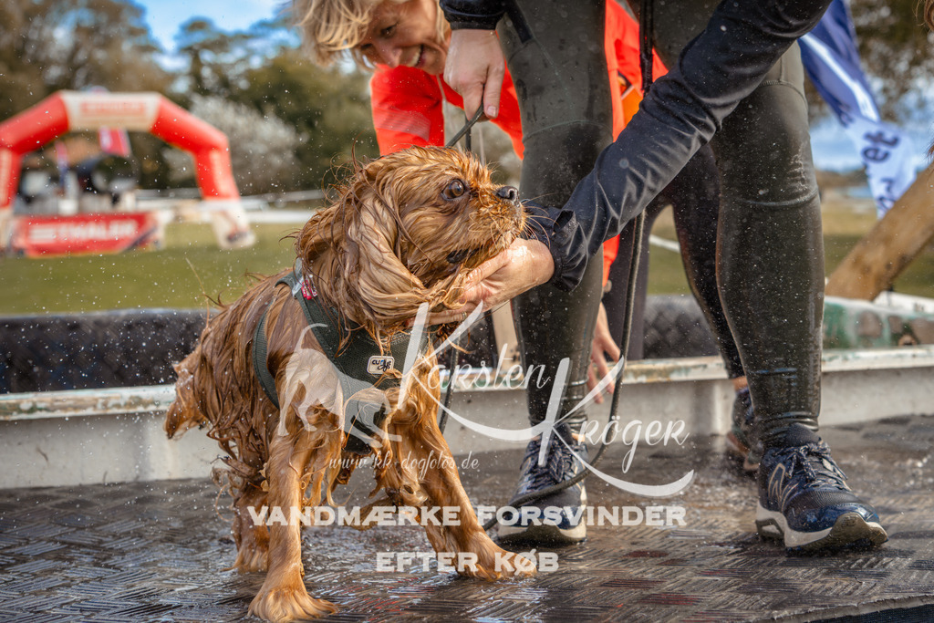 1527_ZZ96819 | kk-dogfotos