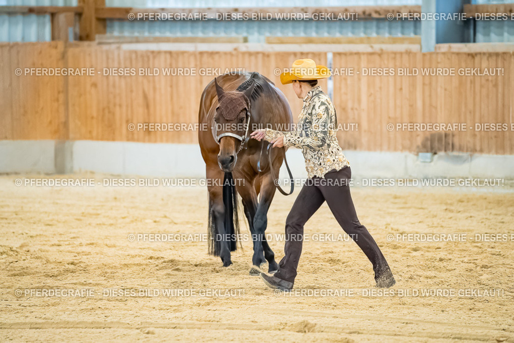 DSC09789 | Pferdegrafie