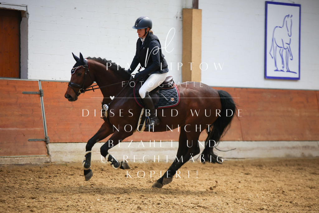 IMGT1990 | pl-fotografie