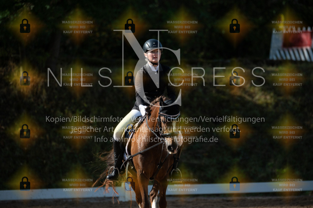 DSC_8298 | Nils Cress - Fotografie - Realisiert mit Pictrs.com