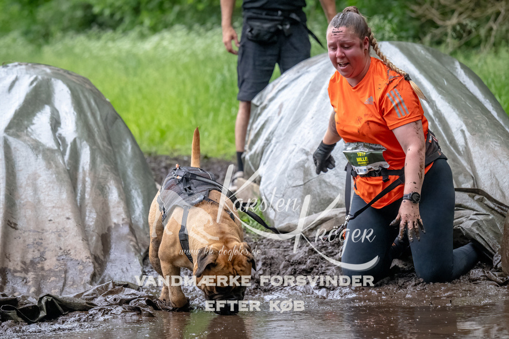 1602_ZZ91831-Bearbeitet | kk-dogfotos