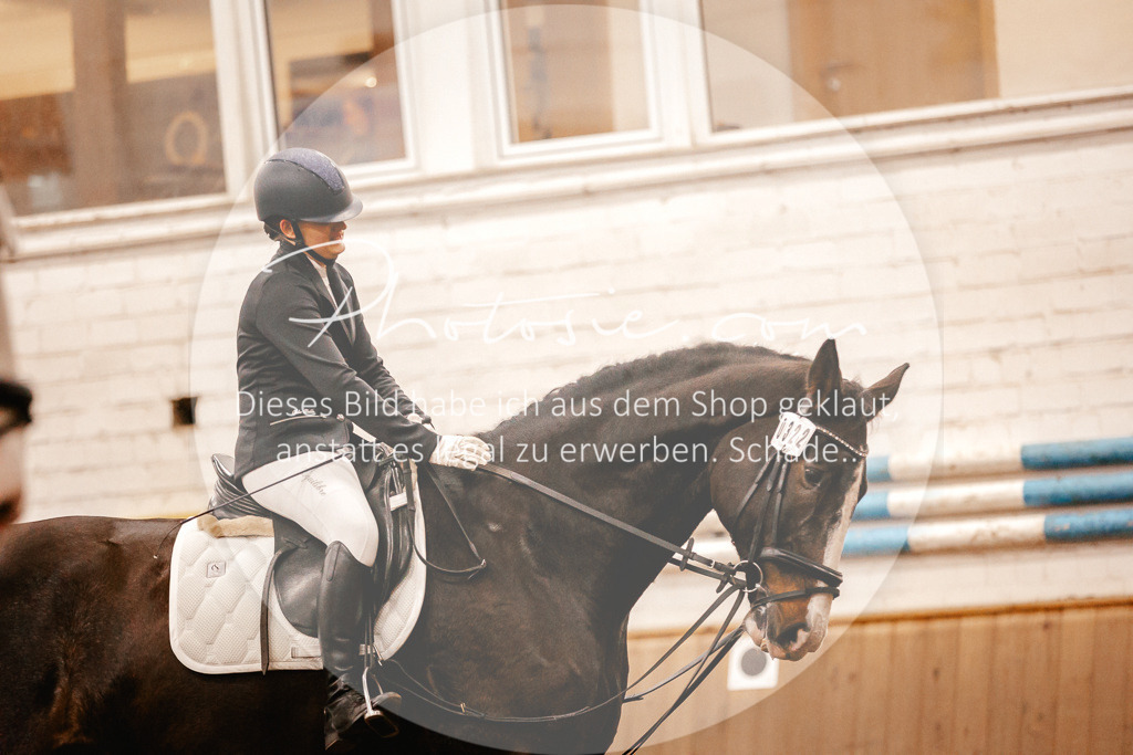 3I6A4317 | Stimmungsvolle Portraits und Reitsportfotografie im Ruhrgebiet und im Münsterland.

Pferdefotografie, Hundefotografie, Tierfotografie, Reportagen, Portraits von Tier und Mensch, Turnierfotografie in Bochum, Recklinghausen, Marl, Haltern am See, Dülmen.. - Realisiert mit Pictrs.com