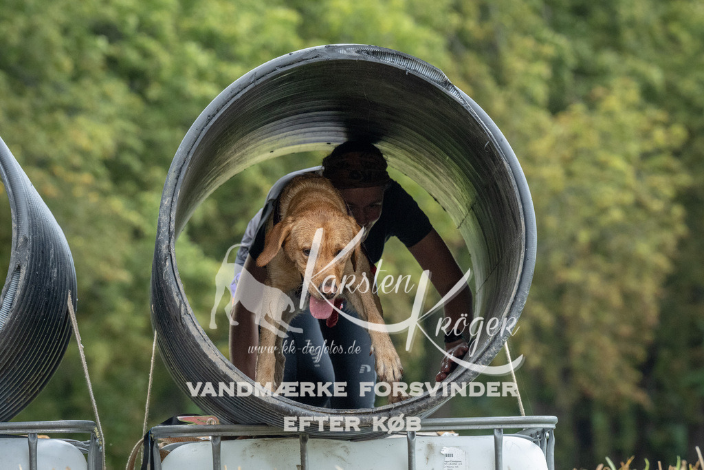 1128_ZZ94293 | kk-dogfotos