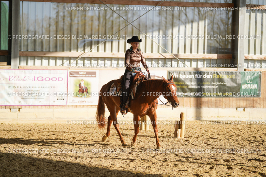 DSC08733 | Pferdegrafie