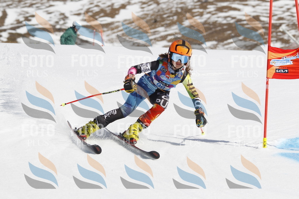 _U3G0297 | holidayphoto