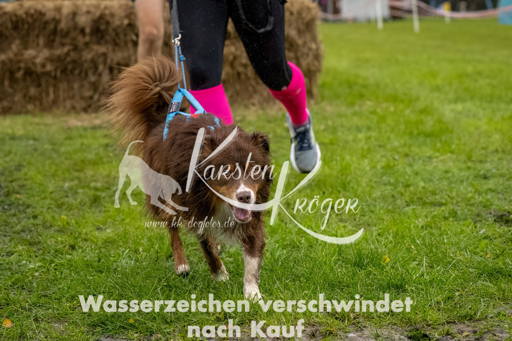 1010-2-5 | kk-dogfotos