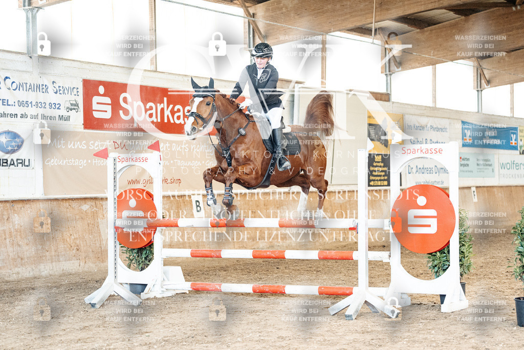 CK905064 | Turnierfotografie Pferdefotografie Trier Rheinland-Pfalz Pferdesport Reitsport Tierfotografie Sportfotografie Pferdevideo Pferdevideografie Equestrianvideography equestrianphotography  - Realized with Pictrs.com