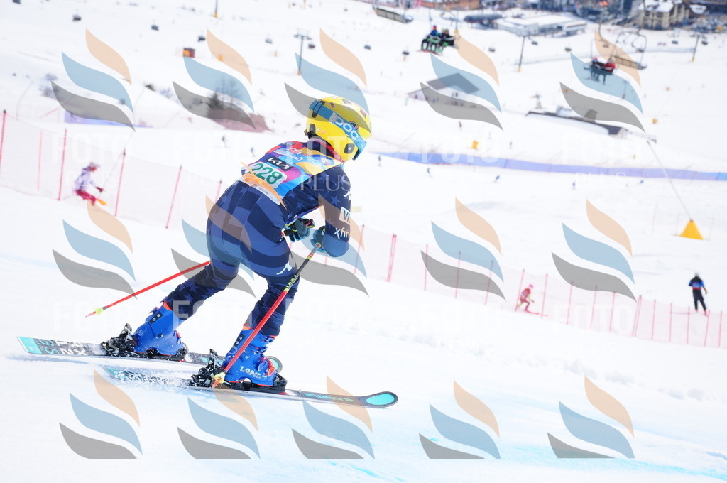 DSC_2103 | holidayphoto