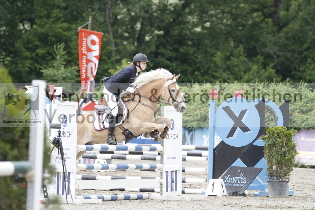 _MG_6029 | equestrian-live-com