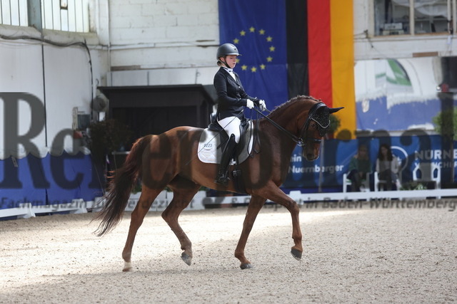 Pforzheim_2024_Prfg.Nr.12_Dressurreiterprfg.Kl.M_Nürnberger-Burgpokal_Antonia Kronmüller_Donnia (2) | Alle Fotos der Reiterjournal Fotografin Doris Matthaes im Reiterjournal Online-Fotoshop. - Realisiert mit Pictrs.com