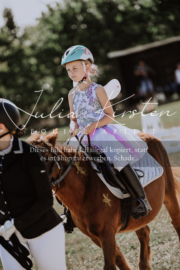 DSC_8977 | Pferde- und Turnierfotografie in Westsachsen. Pferdeportraits, Auftragszeichnungen und intuitive Kunst.