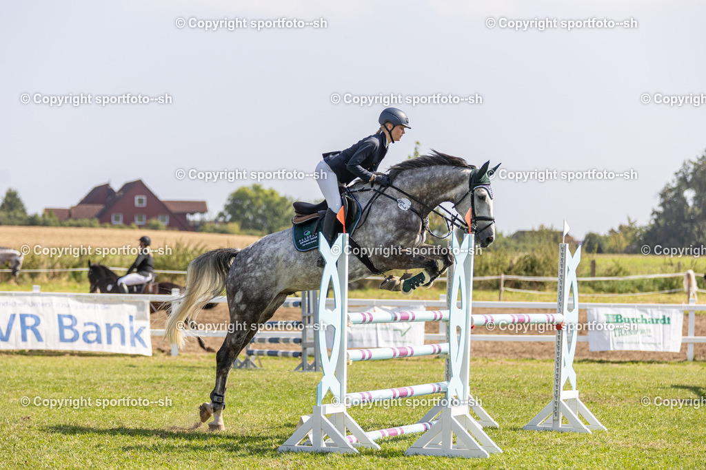 240831-VW-IS6A4138 | Sportfoto SH - Realisiert mit Pictrs.com