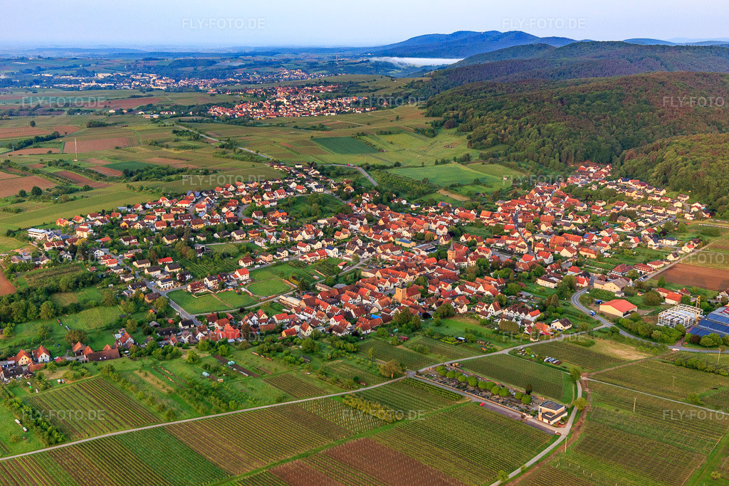 Luftbild: Winzerdorfansicht aus Nordosten in Oberotterbach im Bundesland Rheinland-Pfalz in Deutschland. Foto: IMG_113956.jpg vom 23.05.2019 durch Werner Riehm/FLY-FOTO.de