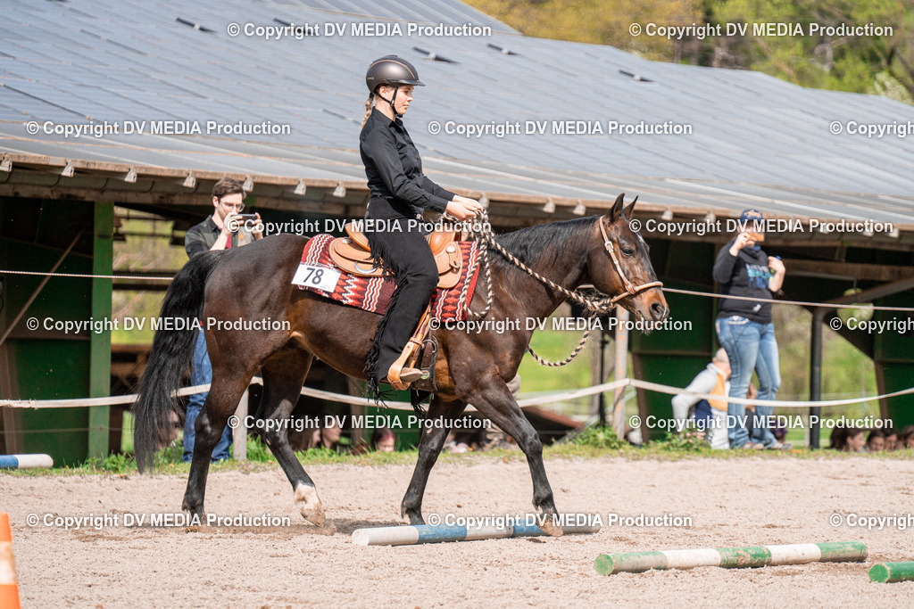 BAL02544 | dv-media-shop - Realisiert mit Pictrs.com