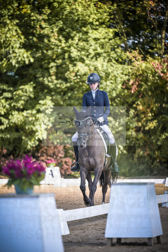 DOS_3062 | Entdecke hochwertige Reitturnierfotos von Foto Oger. Professionell, emotional und authentisch – jetzt Lieblingsmomente im Shop bestellen.Deutschlandweite Turnierfotografie. - Realisiert mit Pictrs.com