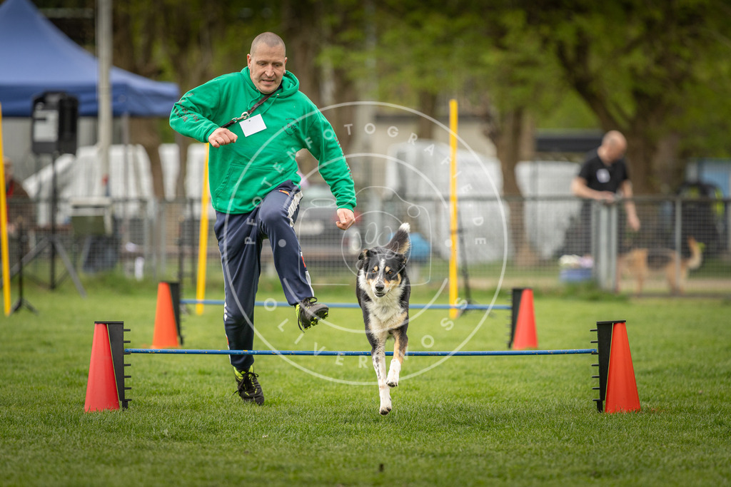 Pfotenfotografie_DV3A2700 | Hundefotografie, Tierfotograf, Pfotenfotografie, Fotoshooting Hund, Hunde Portrait, Hundesport, Hundeportraits, Heideshooting, Hunde, Sportfotograf, Hundefotograf, Turnierhundsport, THS,  - Realisiert mit Pictrs.com