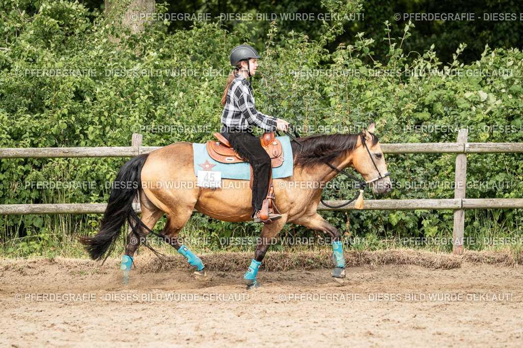 DSC03924 | Pferdegrafie