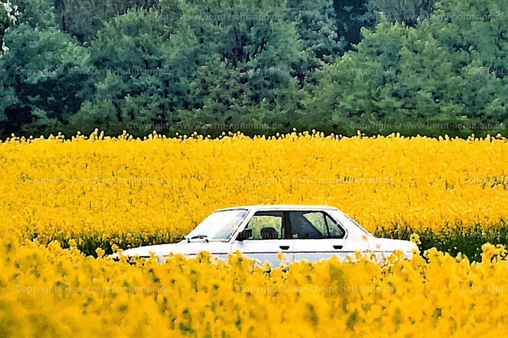 PDM2_Erinnerungen_BMW525_120x80 | DIGITALKUNST. Eingebettet. __ Auto-Klassiker - BMW 525e - steht in blühendem Rapsfeld. - Realisiert mit Pictrs.com