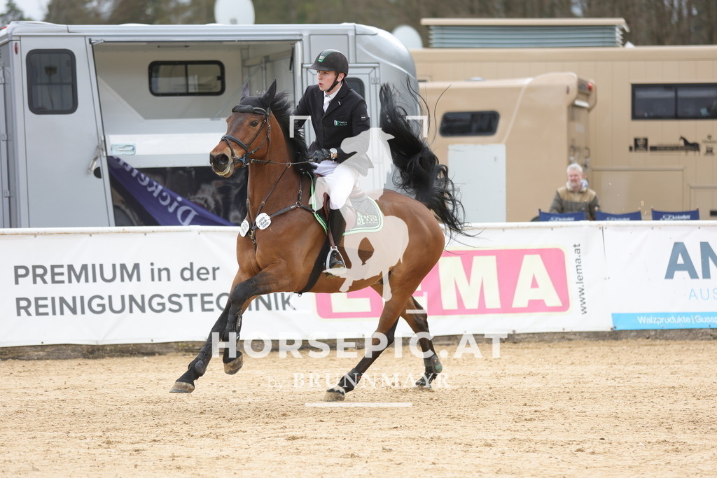 0P6A3173 | Willkommen bei Brunnmayr - Design & Fotografie – Ihrem Spezialisten für Reitturniere und Pferdeveranstaltungen in Oberösterreich, Salzburg und Bayern! Seit über 17 Jahren sind wir leidenschaftlich dabei.
