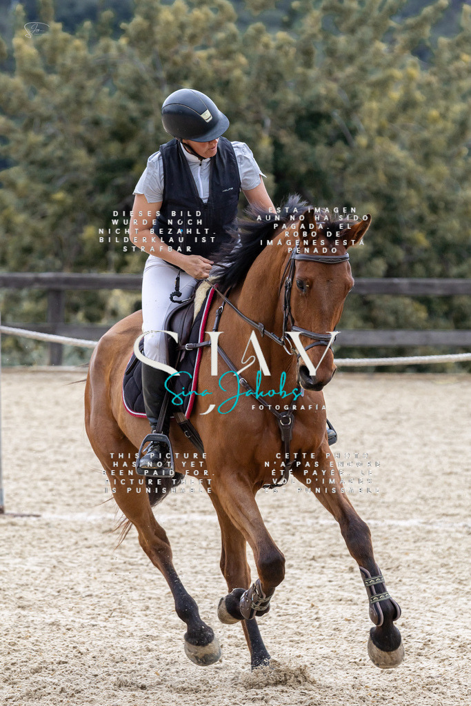 IMG_4045 | s-jay-photography - Realisiert mit Pictrs.com