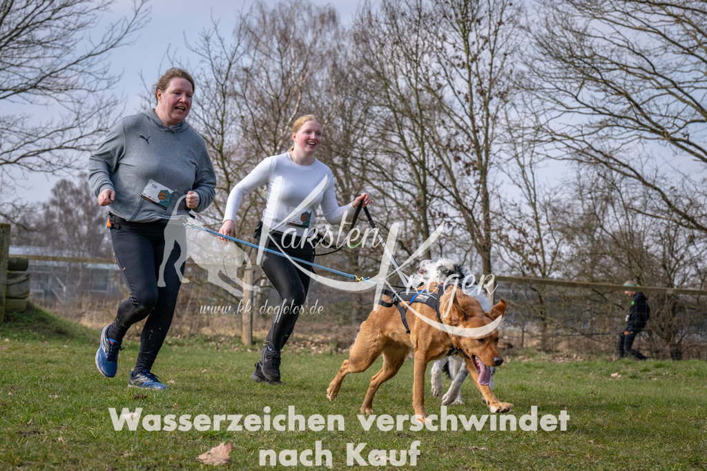 _ZZ90657 | kk-dogfotos