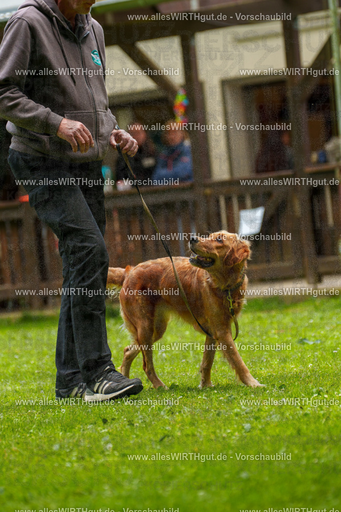 @allesWIRTHgut_Tierfotografie - www.allesWIRTHgut.de - 125823-7R509618 | Professionelle Tierfotografie in Mönchengladbach von Daniel Wirth (allesWIRTHgut). Liebevolle & natürliche Bilder von Hunden & Katzen für unvergessliche Erinnerungen.