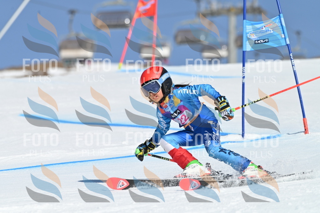 BGV_7985 | holidayphoto