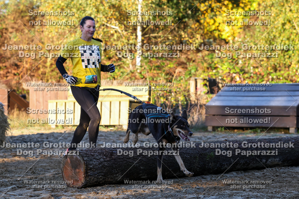 Dog Paparazzi - Strongdog 10-25-657 | Dog Paparazzi Jeanette Grottendiek Fotografie & Videografie - Realisiert mit Pictrs.com