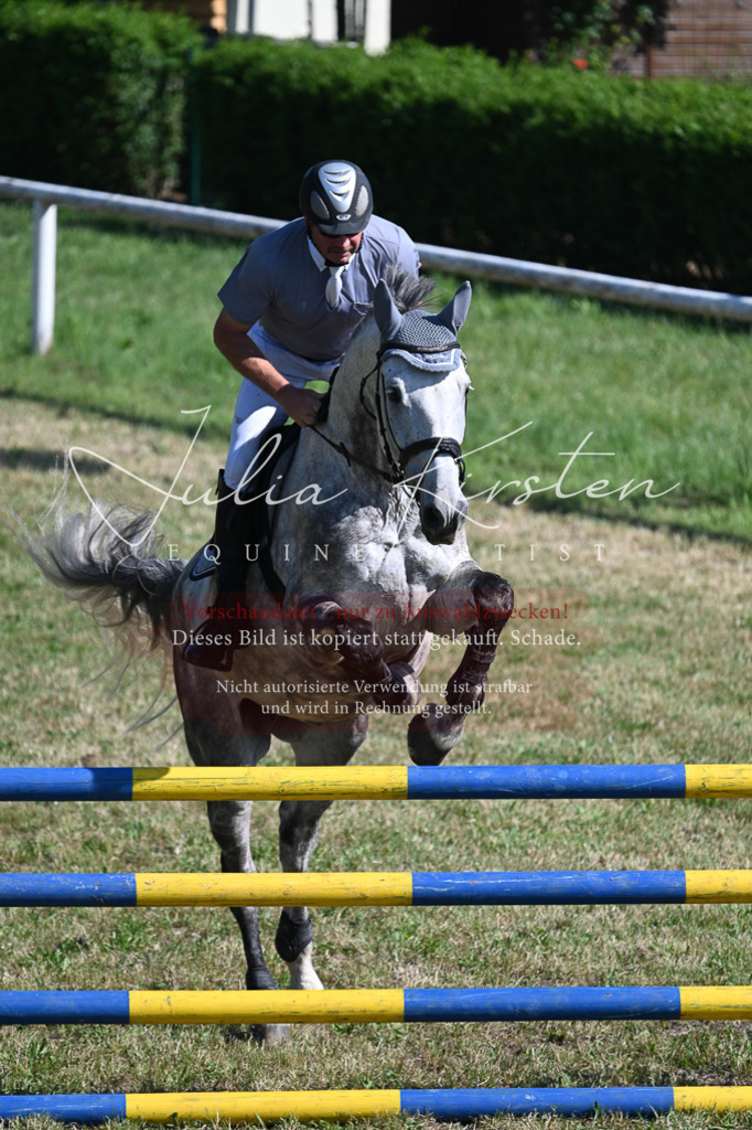 DSC_1962 | Pferde- und Turnierfotografie in Westsachsen. Pferdeportraits, Auftragszeichnungen und intuitive Kunst.