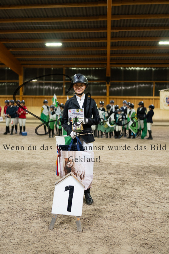 A7V03467 | Pferdefotograf