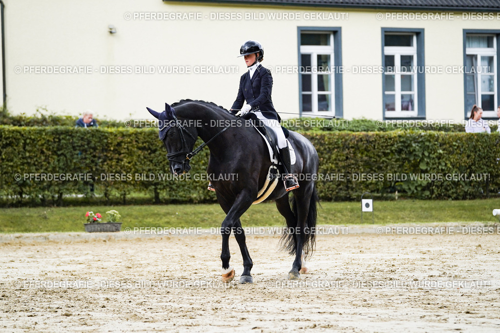 DSC06473 | Pferdegrafie