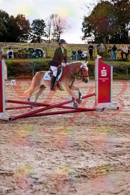2026_10_03_Siefer-Hof_145444_Z81_34755552 | Professionelle Reitsport-, Turnier- und Eventfotografie von Robert Broda. Galerien mit ausgewählten und bearbeiteten Bildern direkt online ansehen und bestellen.