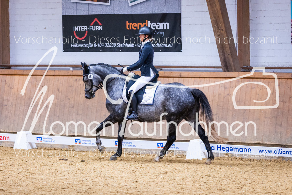 Sth-A-Dre-2St-191 | MomenTaufnahmen Pferdesportfotos