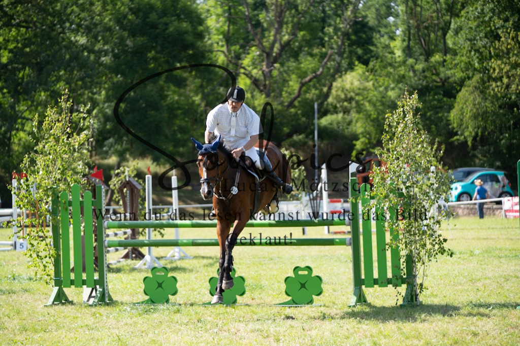 A7V06612 | Pferdefotograf