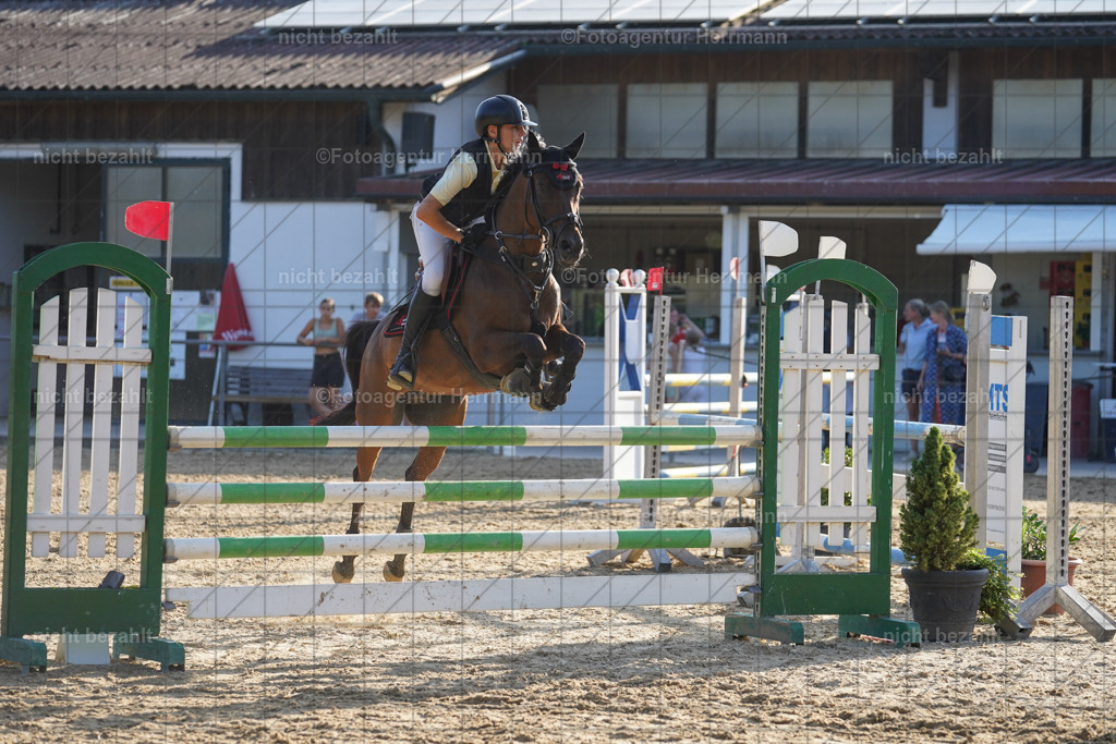 20240824-FAH08719 | Thierhaupten 2024, Bayerisches Landesponyturnier, Turnierbilder, Ponybilder, Turnierfotografen Bayern, Fotoagentur Herrmann