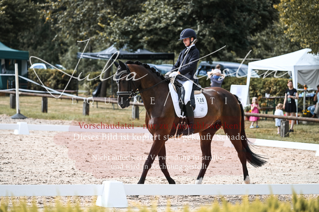 DSC_5206 | Pferde- und Turnierfotografie in Westsachsen. Pferdeportraits, Auftragszeichnungen und intuitive Kunst.