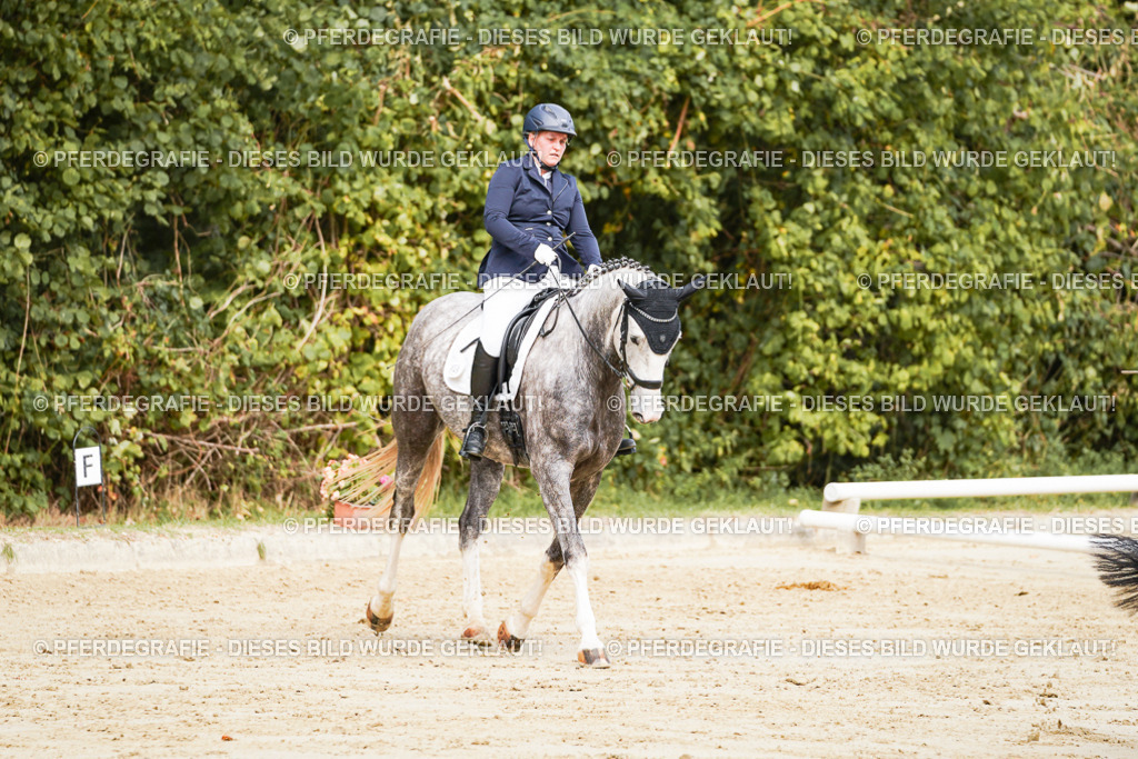 DSC01730 | Pferdegrafie