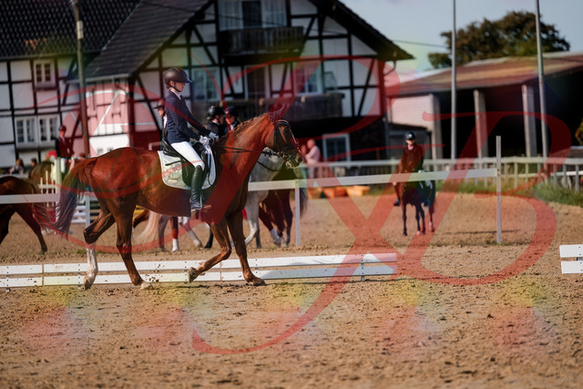 2026_10_03_Siefer-Hof_123435_Z63_52817481 | Professionelle Reitsport-, Turnier- und Eventfotografie von Robert Broda. Galerien mit ausgewählten und bearbeiteten Bildern direkt online ansehen und bestellen.
