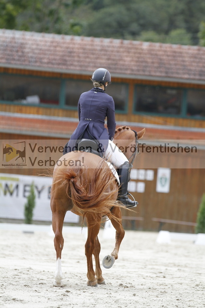 _MG_5113 | equestrian-live-com