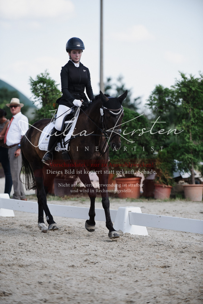 DSC_9977 | Pferde- und Turnierfotografie in Westsachsen. Pferdeportraits, Auftragszeichnungen und intuitive Kunst.