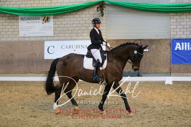 IMG_2717 | Turnierfotos kaufen im Webshop von Daniel Kuhl Photography – entdecke professionelle Reitsportfotos aus Turnieren & Events. Hochwertige Turnierbilder online bestellen & sichern. Jetzt Fotos von Reitsportturnieren kaufen!