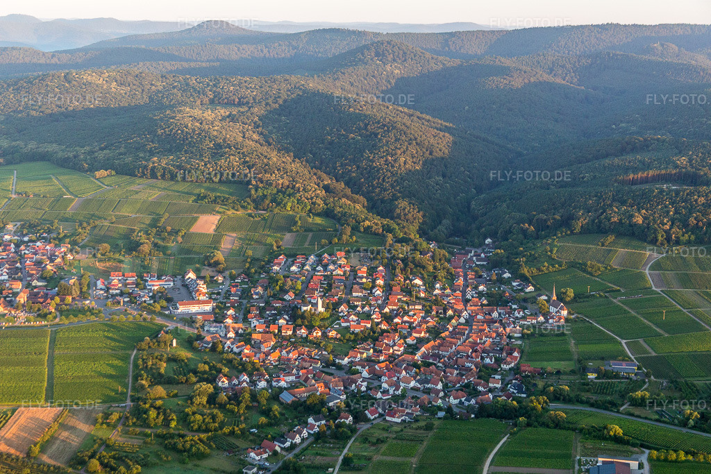 Luftbild: Weinbergen und Wald in Rechtenbach im Ortsteil Rechtenbach in Schweigen-Rechtenbach im Bundesland Rheinland-Pfalz in Deutschland. Foto: IMG_091522.jpg vom 10.07.2016 durch Werner Riehm/FLY-FOTO.de