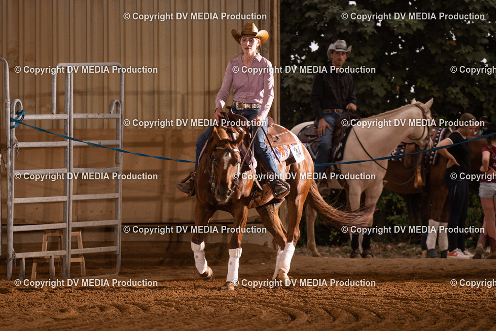 NID00974 | dv-media-shop - Realisiert mit Pictrs.com