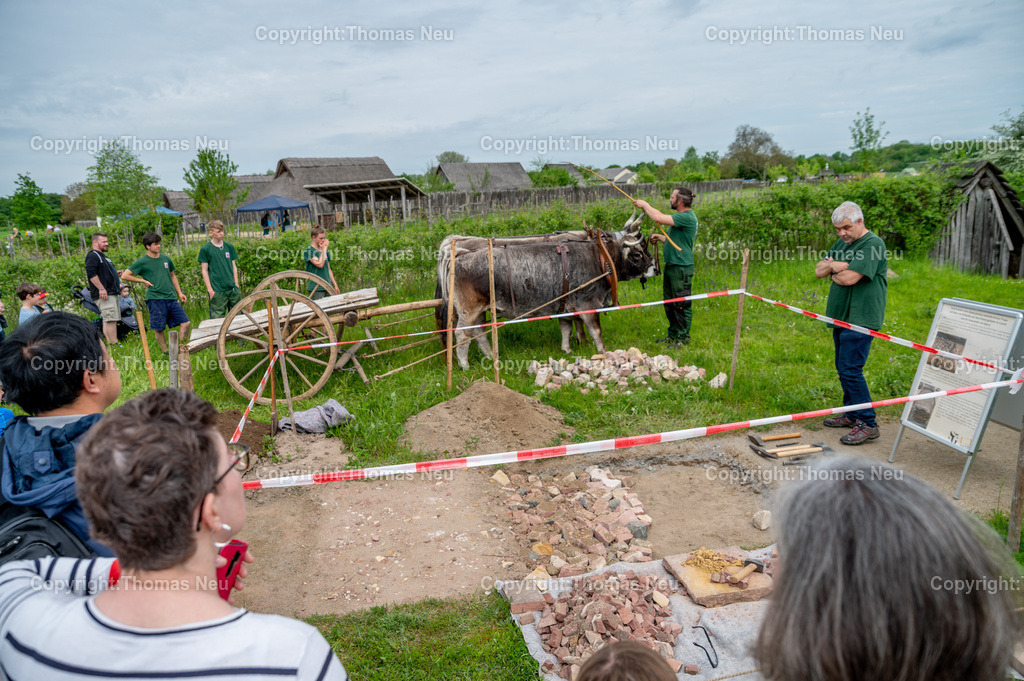 DSC_0873 | ble, 7.5.2023, Lorsch: Tag der Experimentellen Archäologie“ im Freilichtlabor Lauresham, Straßenbau im Mittelalter, der Ochsenkarren liefert das Material an, 
,, Bild: Thomas Neu