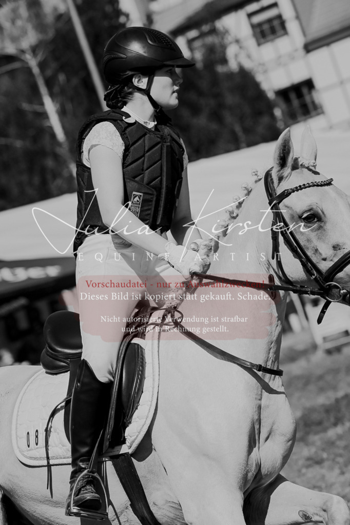 DSC_9928 | Pferde- und Turnierfotografie in Westsachsen. Pferdeportraits, Auftragszeichnungen und intuitive Kunst.