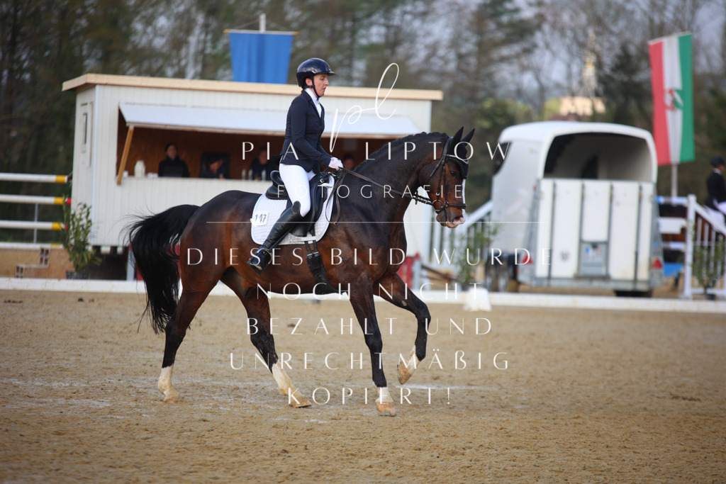 IMGT8617 | pl-fotografie