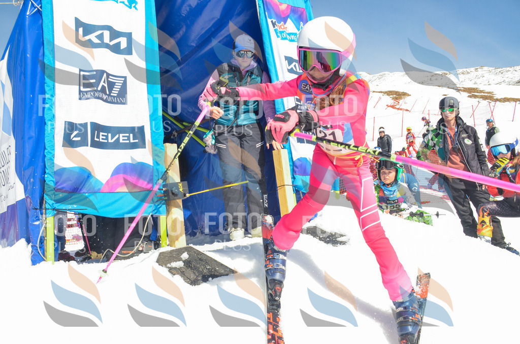 _ELE6013 | holidayphoto