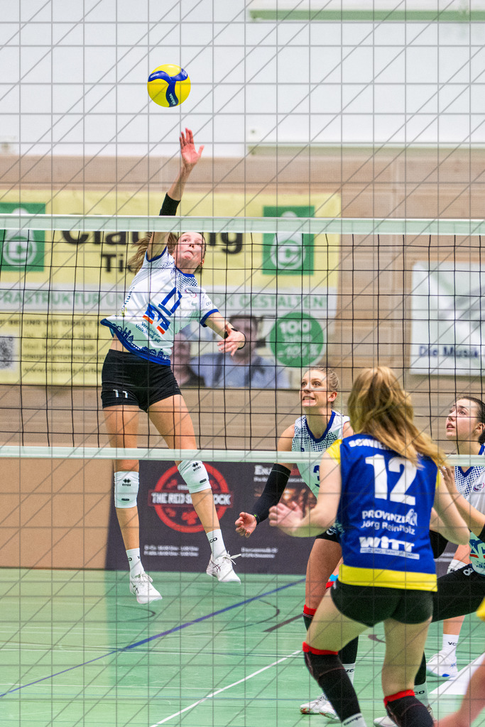 2. VBLF Nord 25/26 | Spiel 4072 | VC Osnabrück vs. Schweriner SC II | MASSELINK Lisanne (VC Osnabrück e.V. #11) //  17.01.26: 2. VBLF Nord 25/26 | Spiel 4072 | VC Osnabrück vs. Schweriner SC II / Osnabrück / Deutschland  //   CREDIT:www.bullenfotos.de, Martin König, Hörner Weg 40, D-49078 Osnabrück, +4917663732967 // Nutzung und Weitergabe nur zu den vereinbarten Zwecken. Presseanfragen an Ersteller. Alle Rechte beim Ersteller. Honorierung nach MFM. - Realisiert mit Pictrs.com